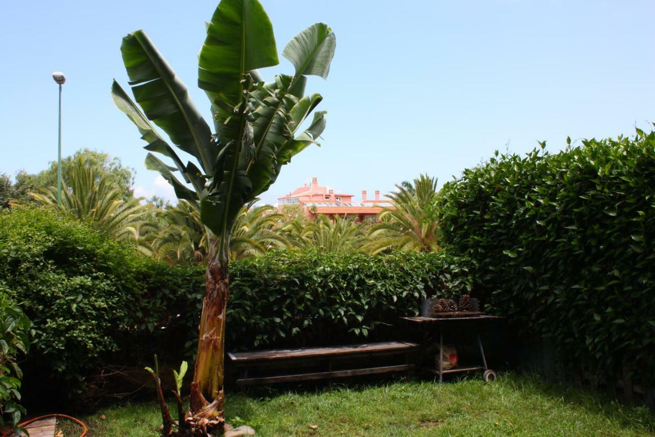 بويرتو ذي لا كروز Apartamentos Con Jardin Y Pescina المظهر الخارجي الصورة